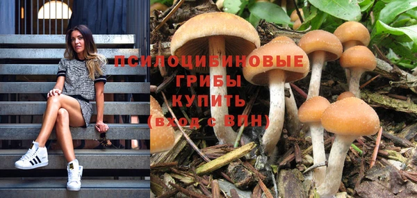 apvp Аркадак