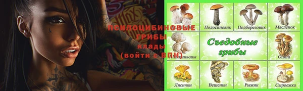 spice Алзамай
