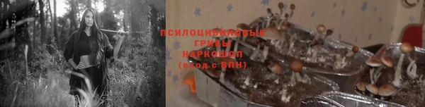 меф Арсеньев