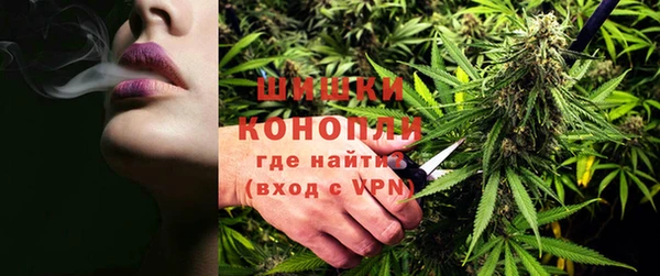 apvp Аркадак