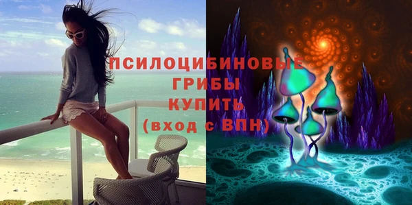 меф Арсеньев