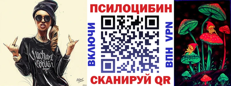 kraken ССЫЛКА  Енисейск  Псилоцибиновые грибы Psilocybine cubensis 